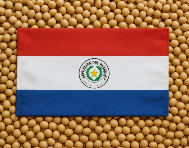 soja Paraguai