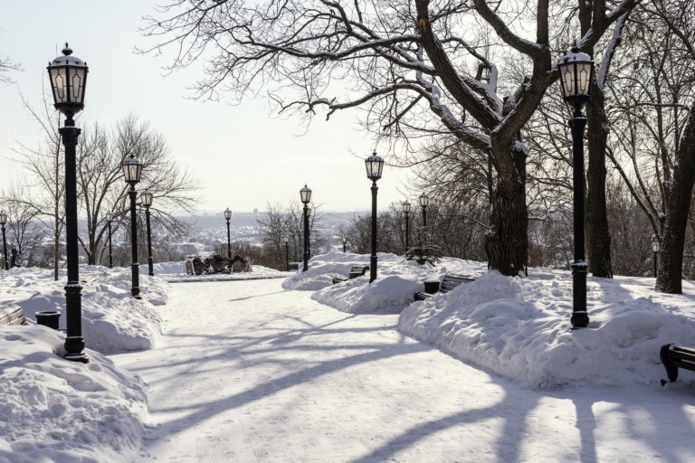 Neve