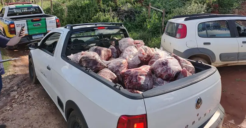 carne clandestina carne clandestina