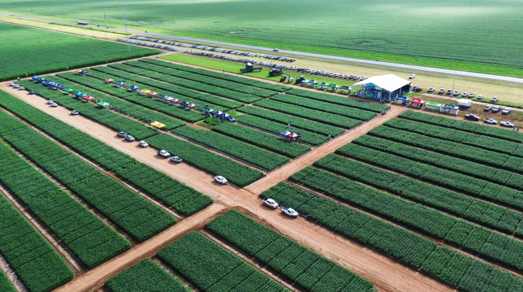dia de campo de cooperativa em Roda Velha, São Desidério