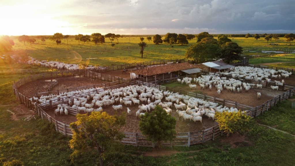 Fazenda Olhos D'Água. Foto: Divulgação. Fazenda Olhos D'Água. Foto: Divulgação.