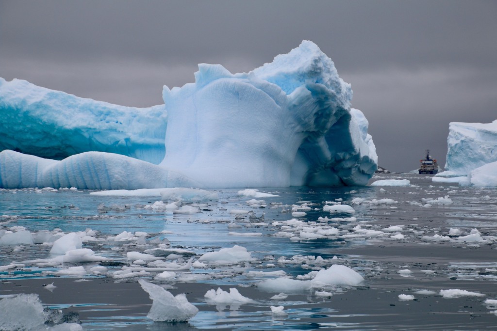 Antartica Antartica