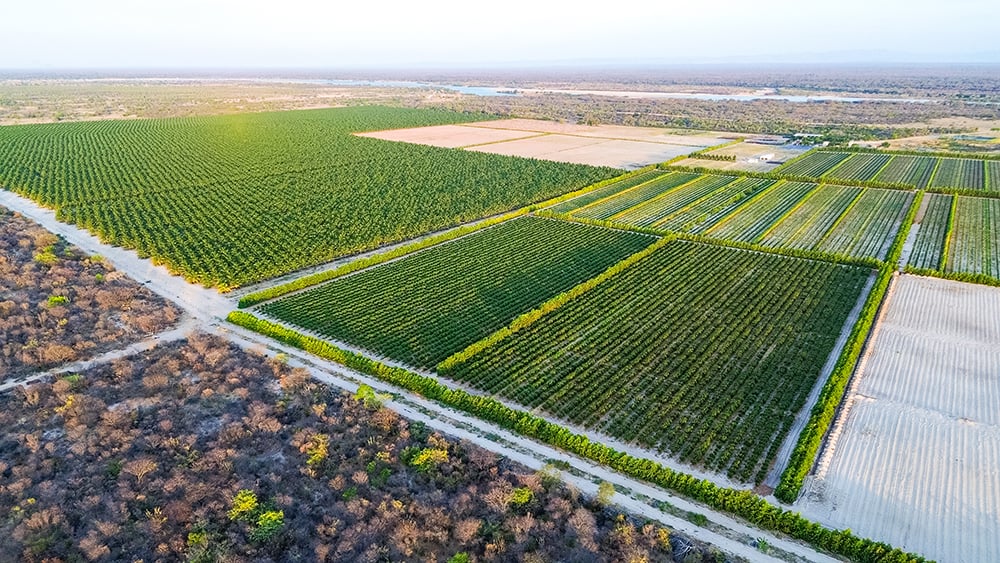 Barra AgroShow 2026: Lançamento em Juazeiro marca expansão estratégica do Médio São Francisco