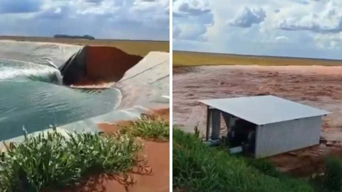 Reservatório se rompe em fazenda e água se espalha rapidamente em área de soja; veja vídeo