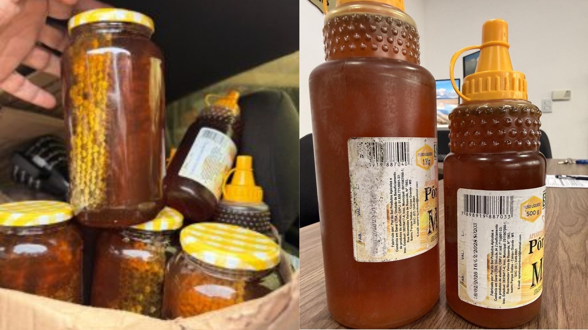 Mel comum, mas impacto grave para o investidor: denúncia leva à apreensão de 250 kg de mel