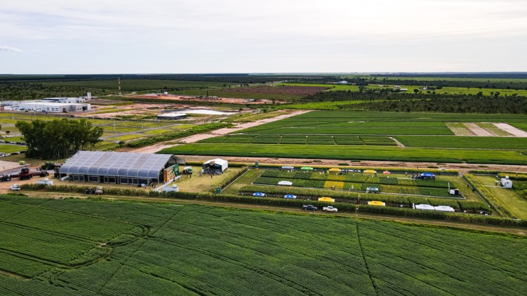 passarela da soja, evento fundação bahia