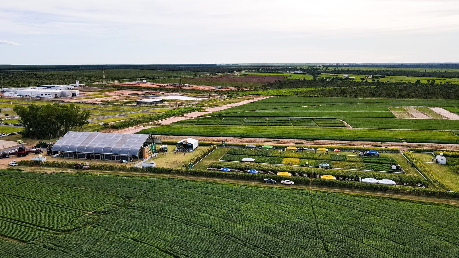 Passarela da Soja, Milho e Culturas Alternativas reúne produtores e especialistas neste sábado