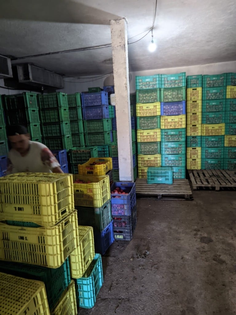 Foto: Reprodução/Leandro Schmitz.