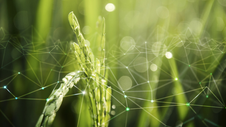 Inteligência artificial tecnologia no campo