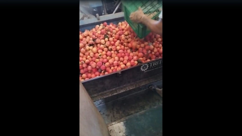 Foto: Reprodução/Leandro Schmitz.