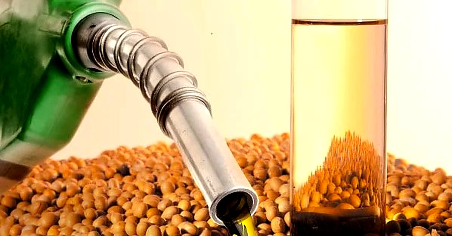 biodiesel biodiesel