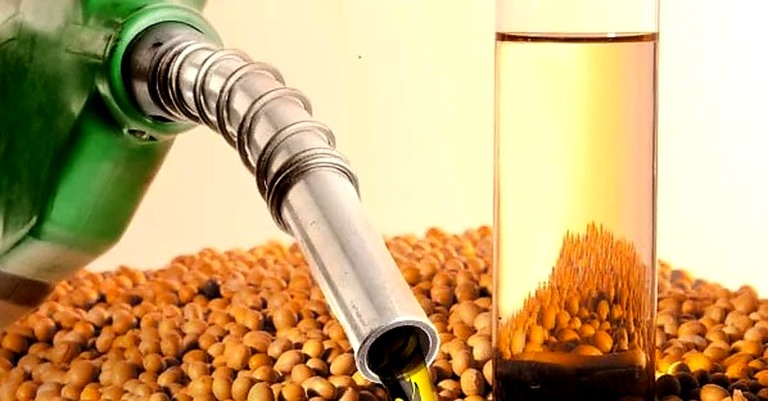 biodiesel
