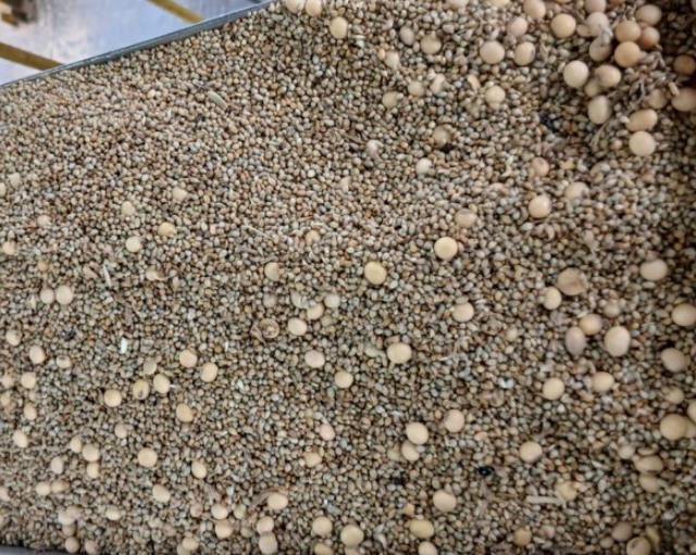 carga adulterada soja
