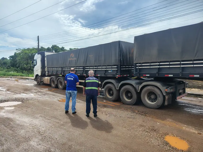 Você viu? Carga com 17 toneladas de mel avaliada em R$ 240 mil é apreendida em operação