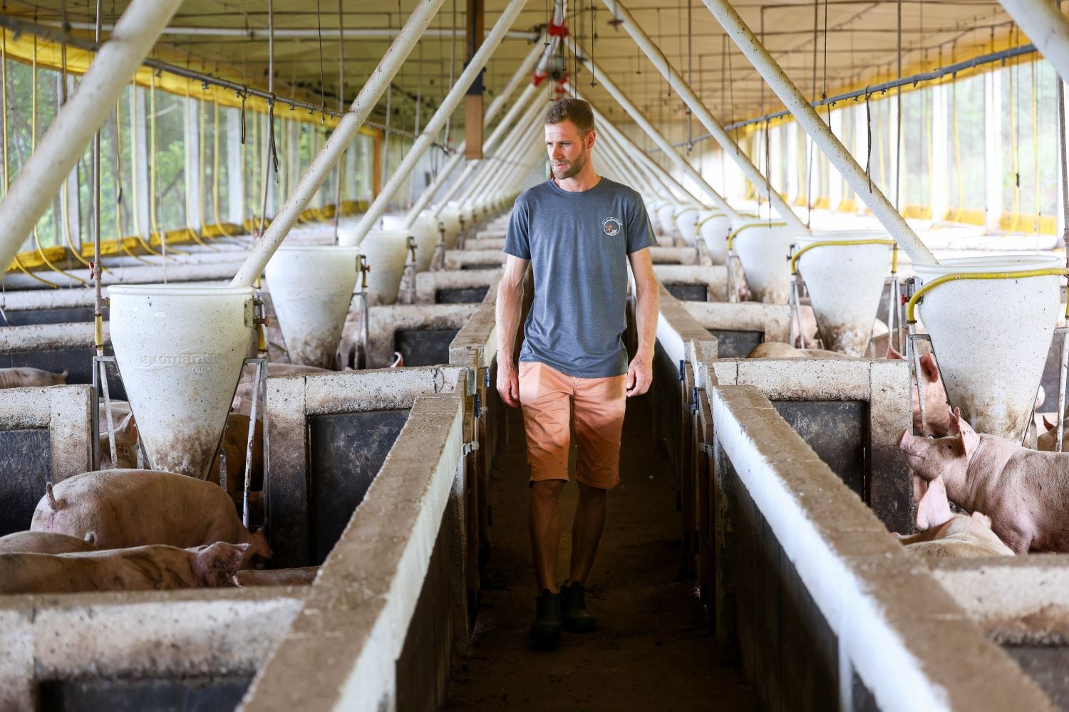 Santa Catarina lança programa de R$ 1 bilhão para financiar produção de suínos e aves