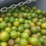 40 toneladas de laranja interceptadas