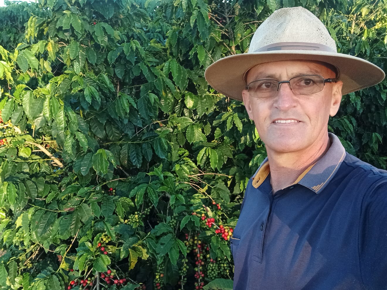 Dia Mundial do Café: cafeicultura baiana reafirma força com produção superior a 220 mil t