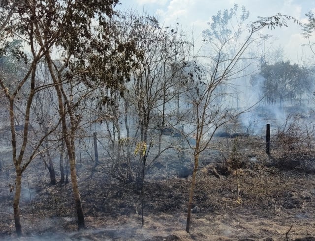 Focos de incêndio no Acre