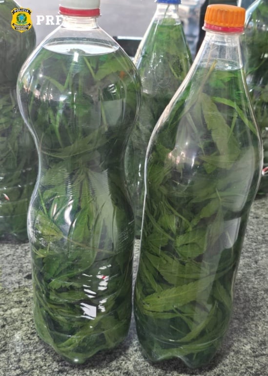 Caminhoneiro é preso com garrafas de ‘cachaça de maconha’ em operação