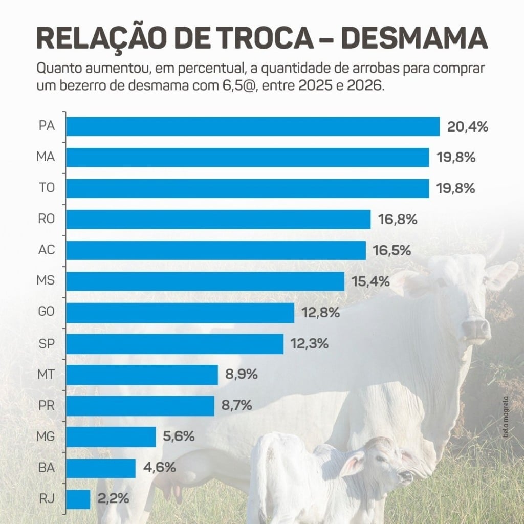 Foto: Divulgação/Scot Consultoria.