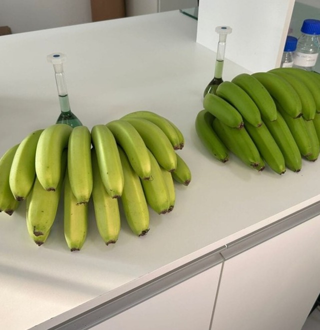 banana clarinha