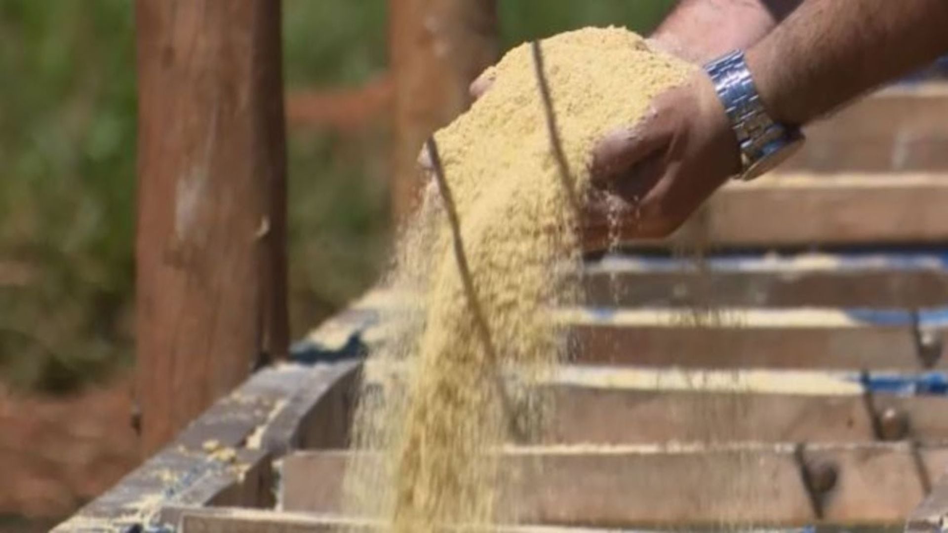 Produção de ração cresce em 2025 e deve atingir 97 milhões em 2026, segundo levantamento