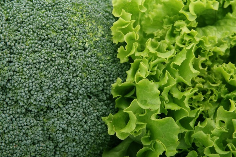 vegetais