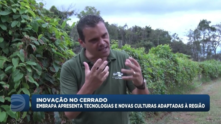 Embrapa Cerrados apresenta inovações em cultivo sustentável