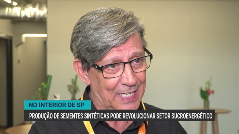Inaugurada unidade de produção de sementes sintéticas de cana