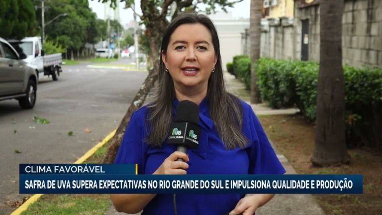 Safra de uva no Rio Grande do Sul supera expectativas
