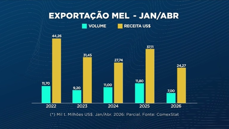Queda nas exportações de madeira bruta e mel impacta receita cambial
