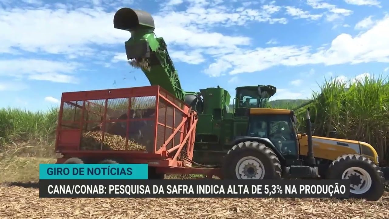 Brasil abre mercado inédito para exportação de uvas ao Azerbaijão