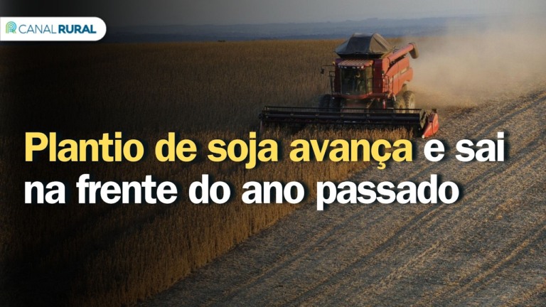 Plantio de soja nos EUA avança 20% e supera ano anterior