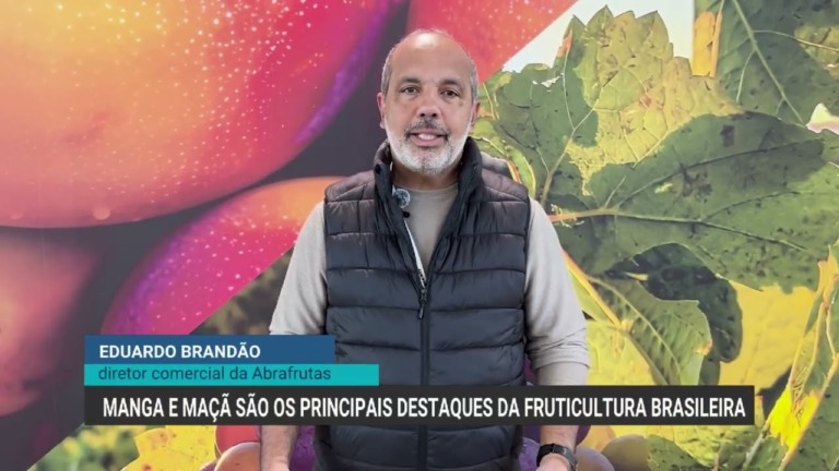 Exportações brasileiras de frutas crescem 25% no primeiro semestre de 2026