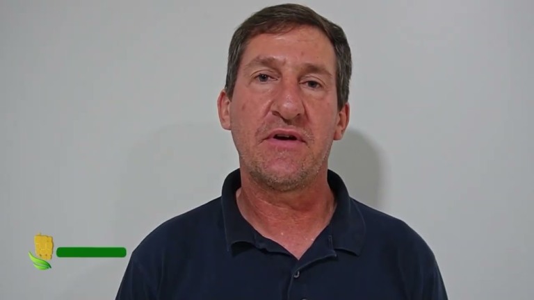 Atraso no plantio do milho em Mato Grosso gera preocupações no campo