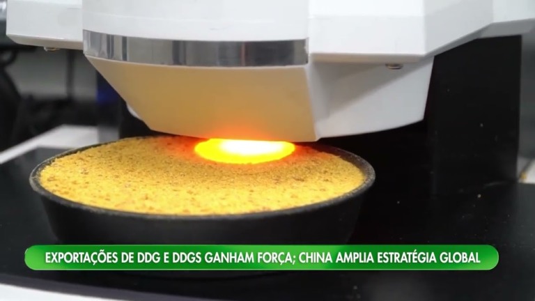 Exportações de DDG e DDGS brasileiros crescem com China