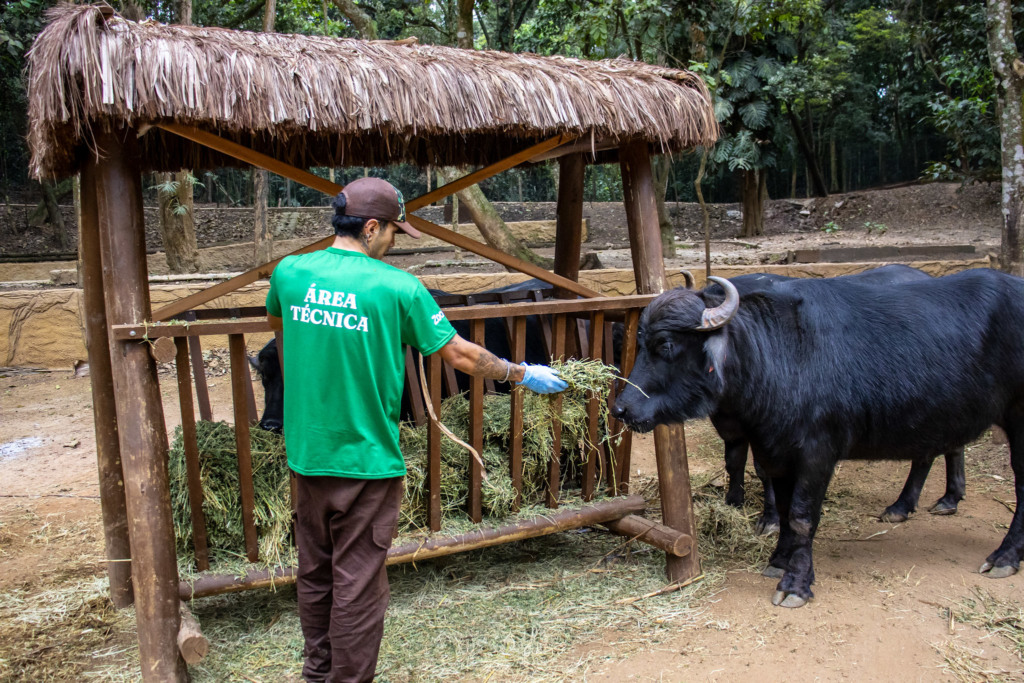 Zoológico de São Paulo mantém fazenda própria para alimentar animais Zoológico de São Paulo mantém fazenda própria para alimentar animais