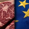 União Europeia barra carne bovina brasileira