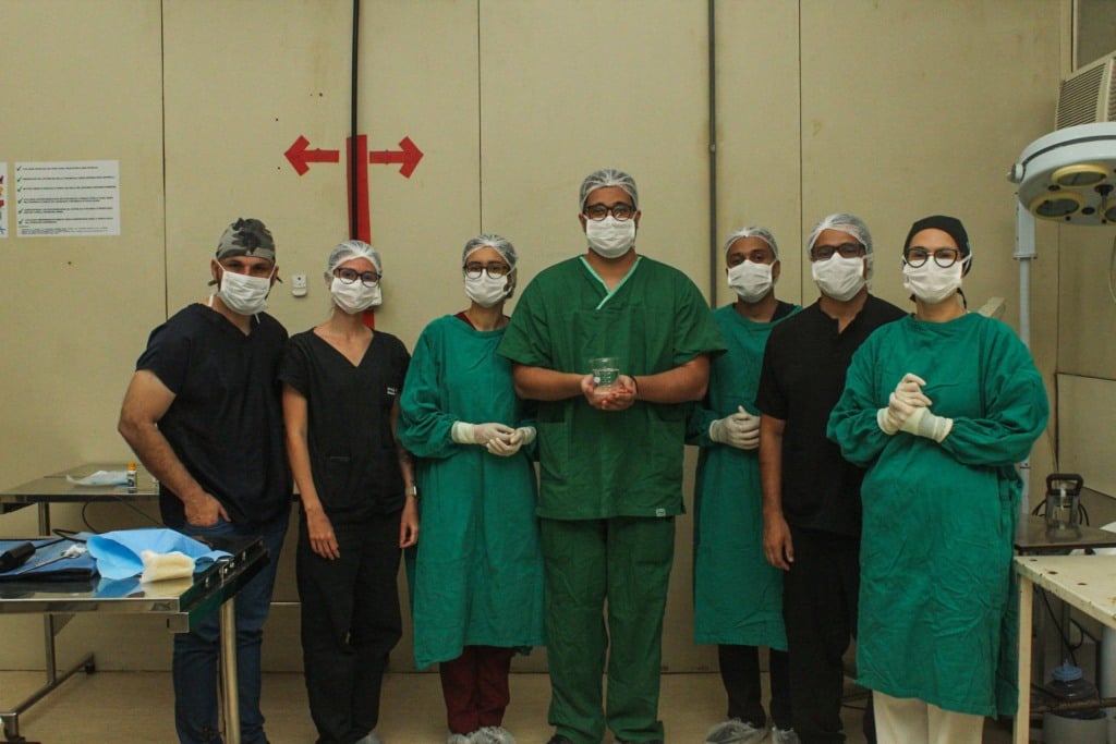 cirurgia em peixe
