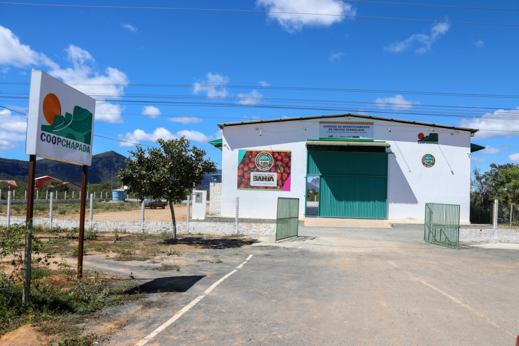 Unidade de beneficiamento de frutas vermelhas em Mucugê; Coopchapada