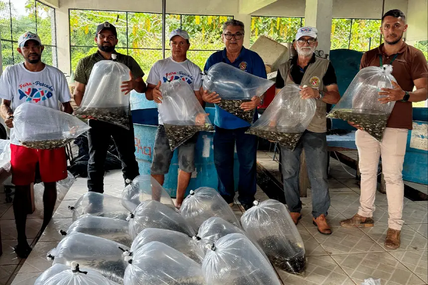 Entrega de 100 mil alevinos beneficia 200 produtores e amplia oferta de tambaqui