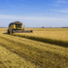 Colheita do arroz atinge 98,68% da área cultivada no Rio Grande do Sul