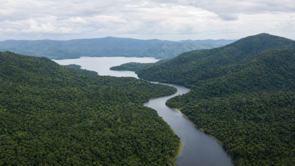 Comissão da Câmara debate papel da Mata Atlântica na adaptação climática na terça-feira Comissão da Câmara debate papel da Mata Atlântica na adaptação climática na terça-feira