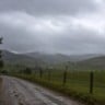 Imagem gerada para IA para o Canal Rural