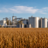 Mato Grosso projeta alta de 16,08% na produção de etanol em 2026/27