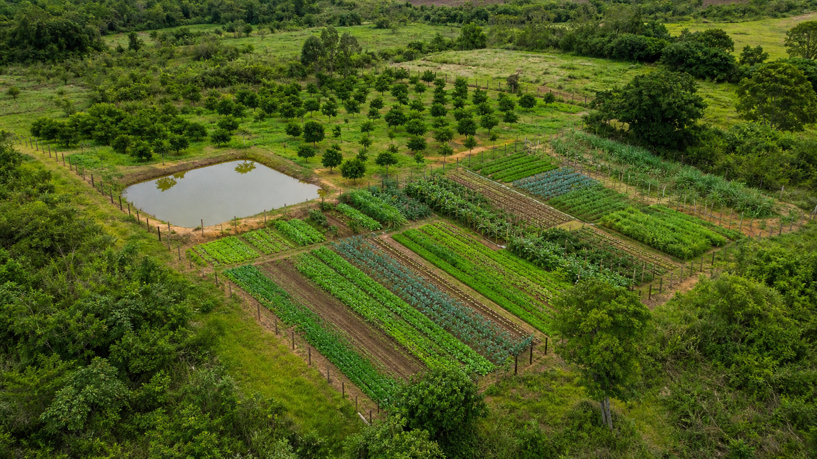 MDA e Fundação Banco do Brasil firmam acordo para ações em territórios tradicionais
