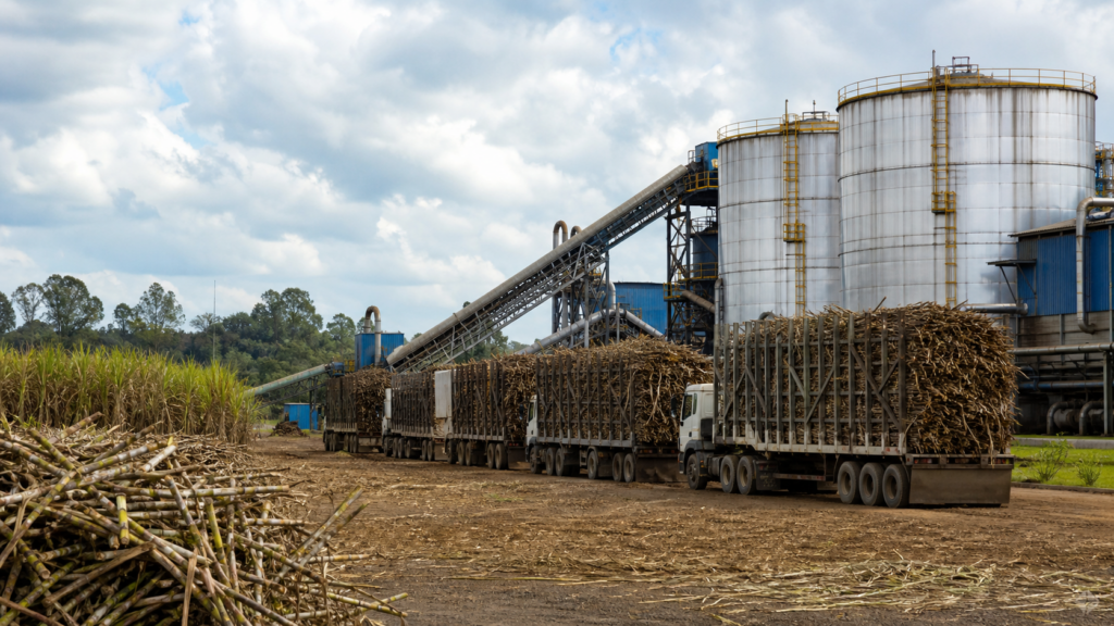 Moagem de cana cai 2,1% no Norte e Nordeste até março Moagem de cana cai 2,1% no Norte e Nordeste até março