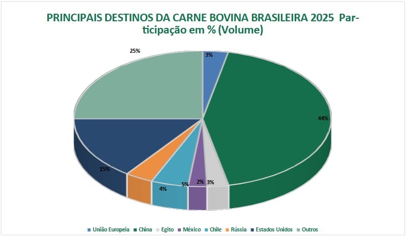 principais destinos da carne brasileira
