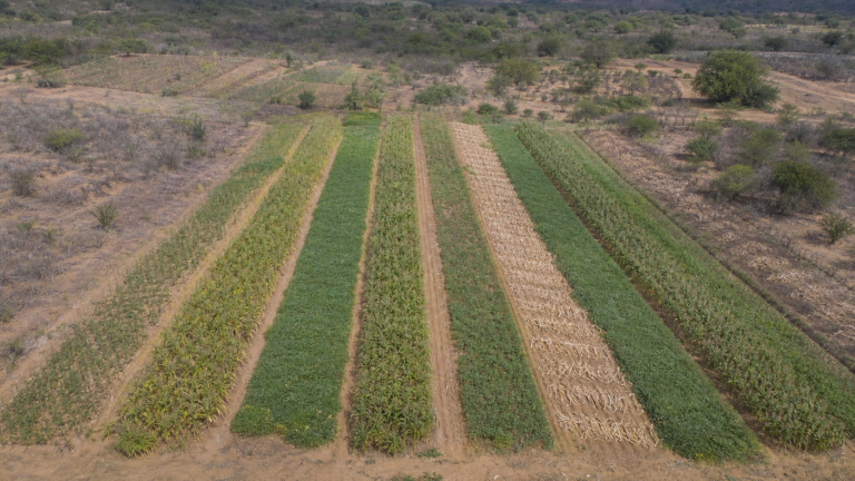 Projeto trinacional amplia corredores agroecológicos na Bahia e em Sergipe