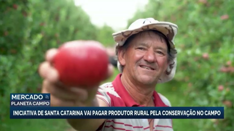 Santa Catarina lança programa que paga produtores pela conservação ambiental